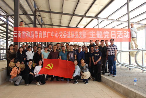 我院种畜繁育推广中心西门塔尔肉牛纯繁场顺利搬迁至云南山地牧业科技示范园