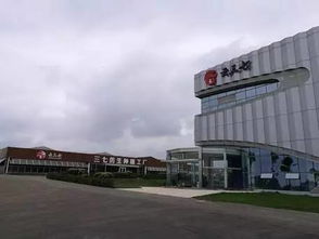 集团所属三七科技获中药材领域两项认定