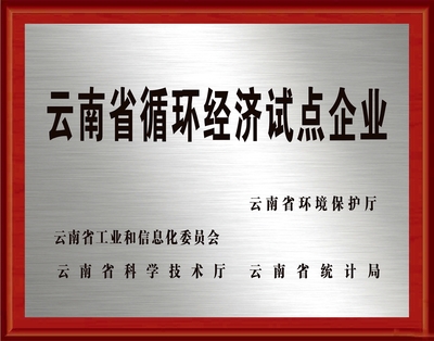 中建科技获得的省级荣誉