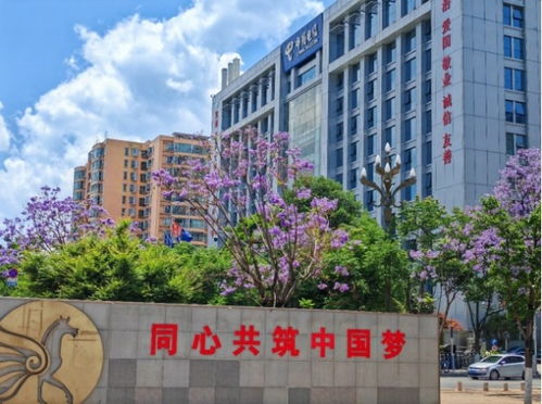 数字云南的 云动力 引擎 记中国电信云南公司云中台赋能数字化转型实践