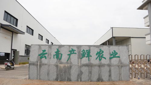 这个新园区,即将投入使用