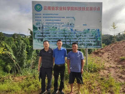 两学一做